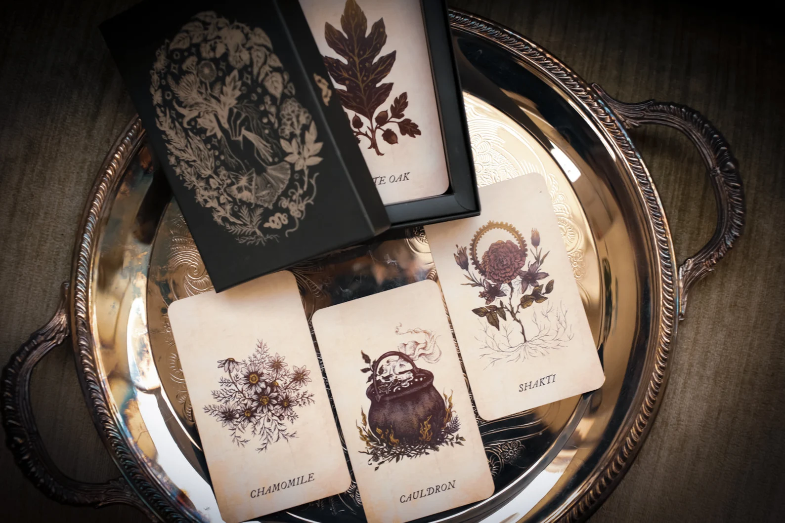 The Botanical Oracle for Strange Women, a 52 card deck inspired by flora, fauna, and mysticism.