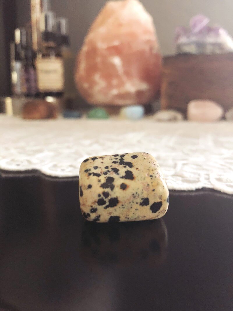 jasper-dalmatian-stone