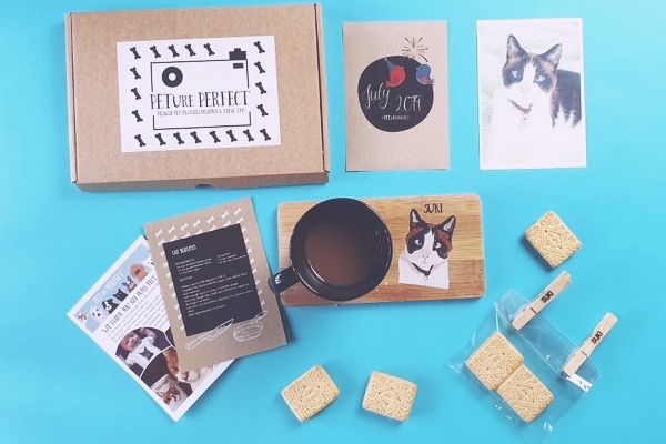 PETure Perfect subscription box for cats