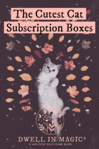 The cutest (and best) cat subscription box