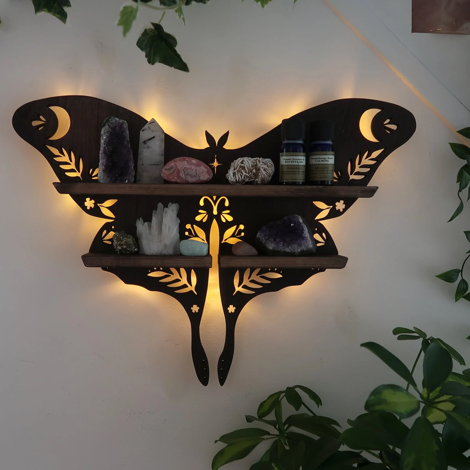 Luna Moth Shelf perfect for displaying crystals and trinkets