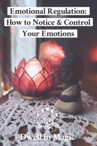Emotional regulation: how to notice and gain control over your emotions