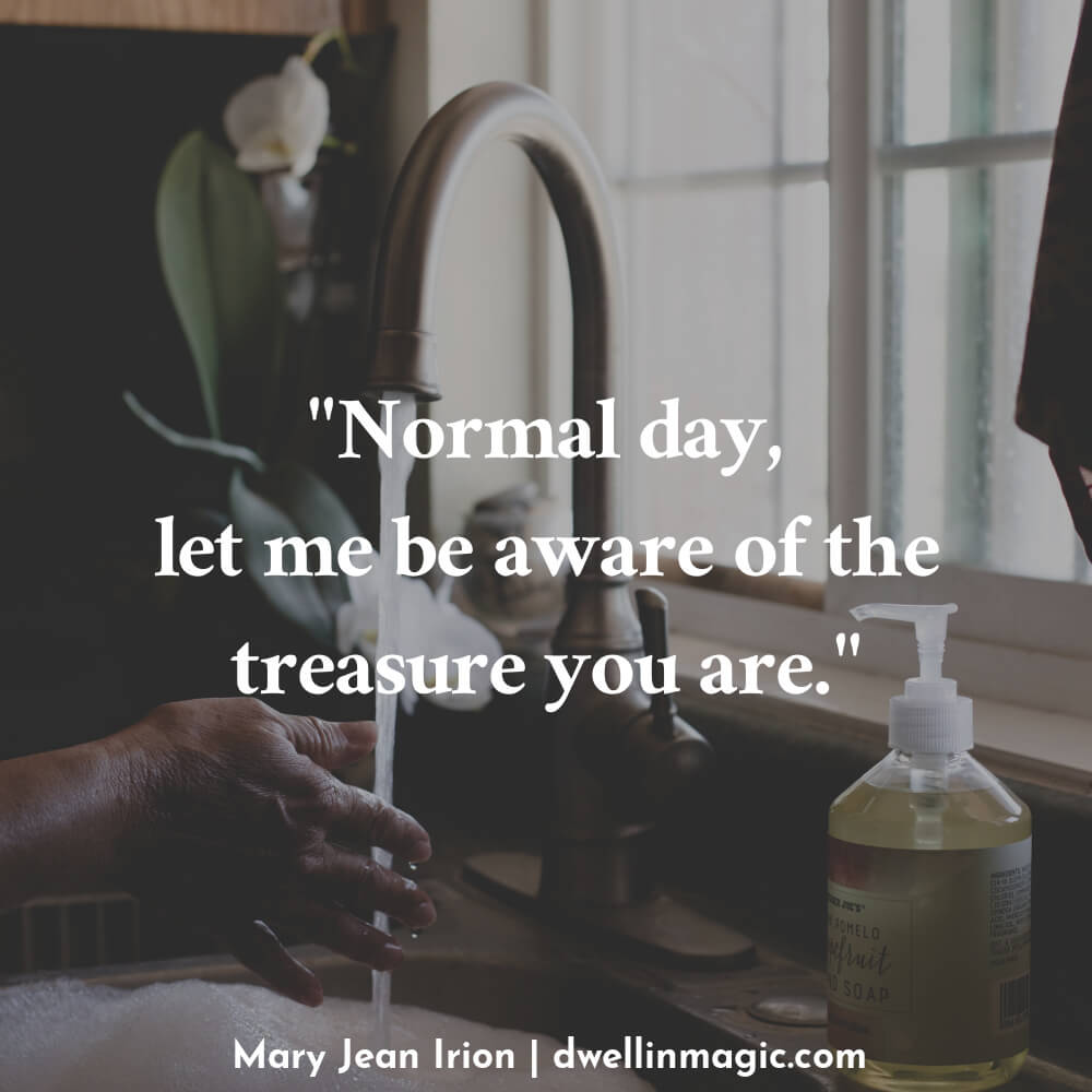 Normal day, let me be aware of the treasure you are. - Mary Jean Irion 