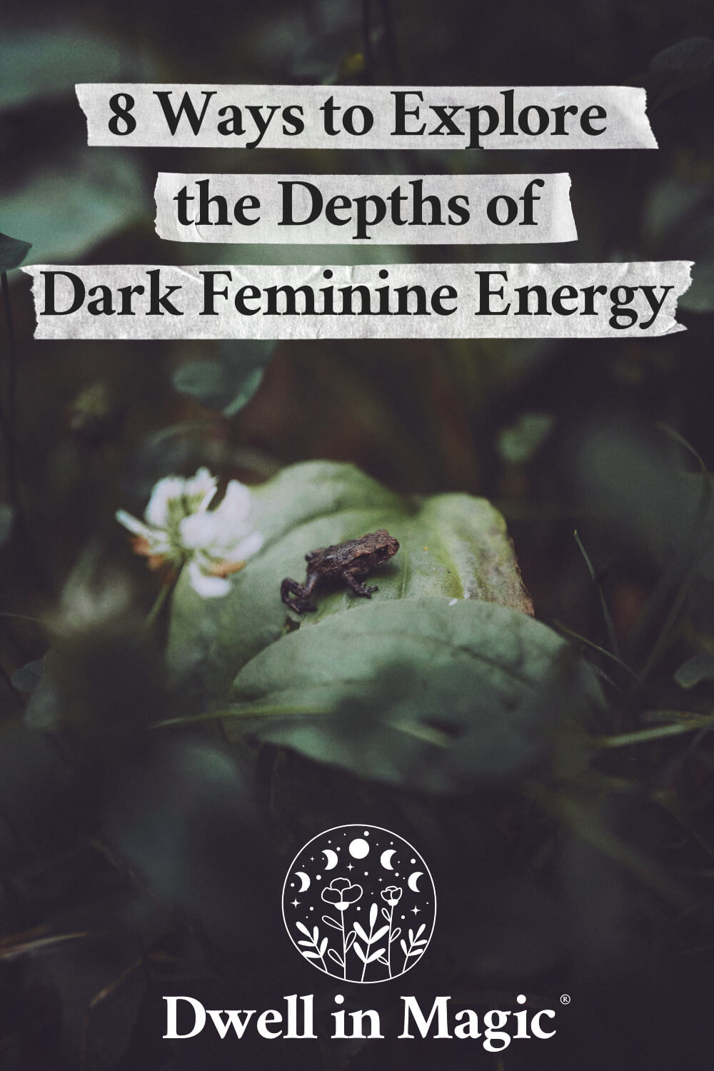 This article illuminates the enigmatic realm of dark feminine energy, exploring its depths, power, and significance in personal growth and collective consciousness. #darkfeminine #feminineenergy #ageofaquarius #spirituality #dwellinmagic
